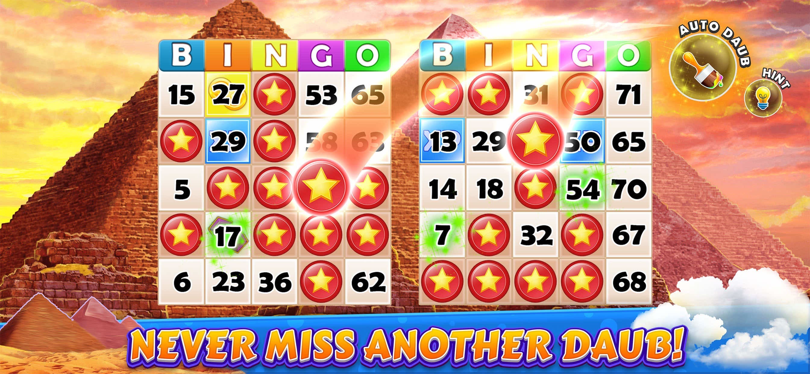 Bingo Cruise™ Live Casino Game screenshot 5 - screenshot