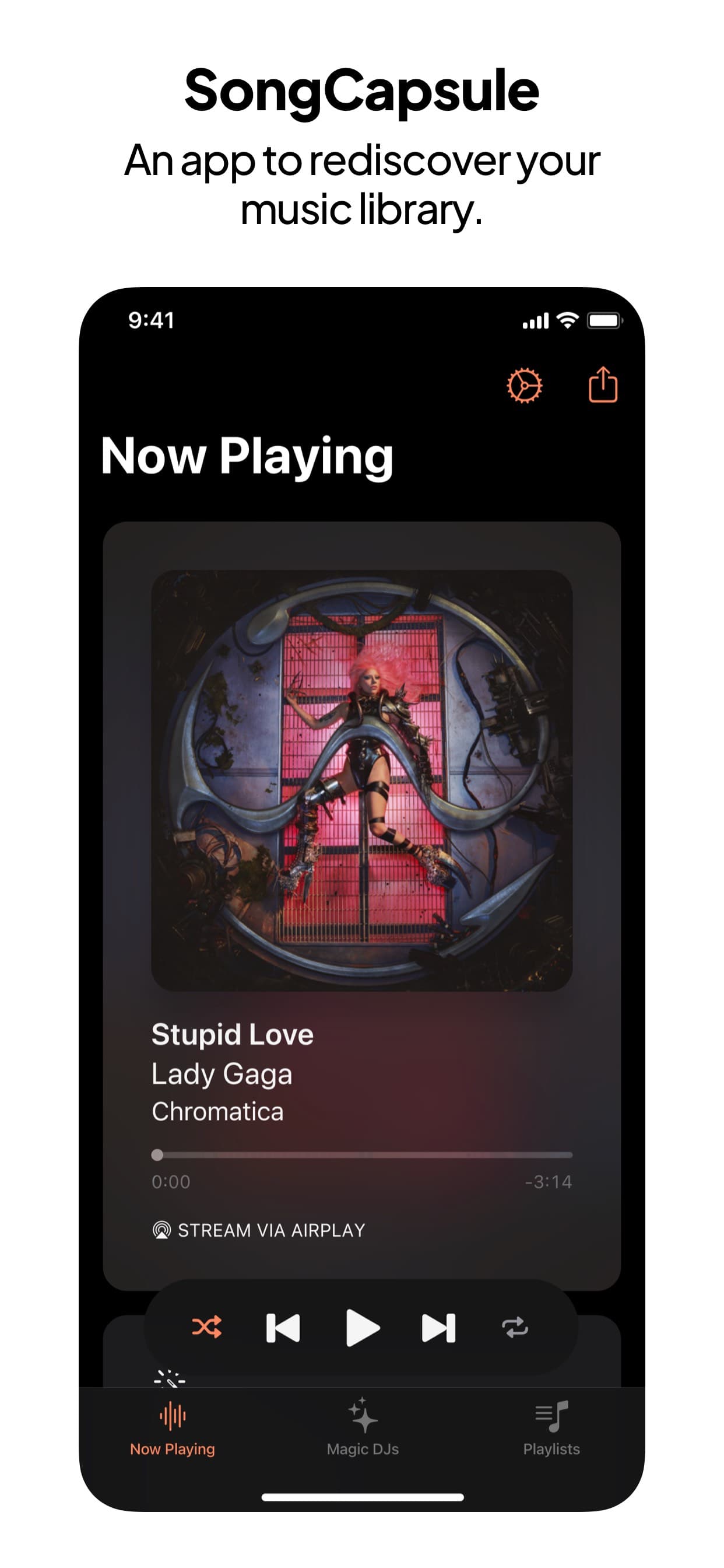 SongCapsule screenshot 1 - screenshot