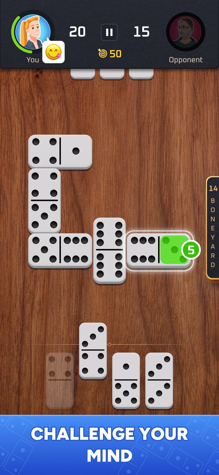 Dominoes Tour: Classic Game screenshot 1 - screenshot