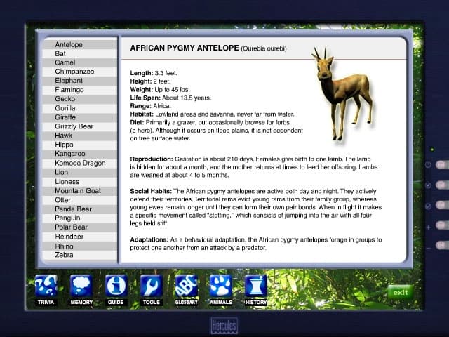 Null - screenshot