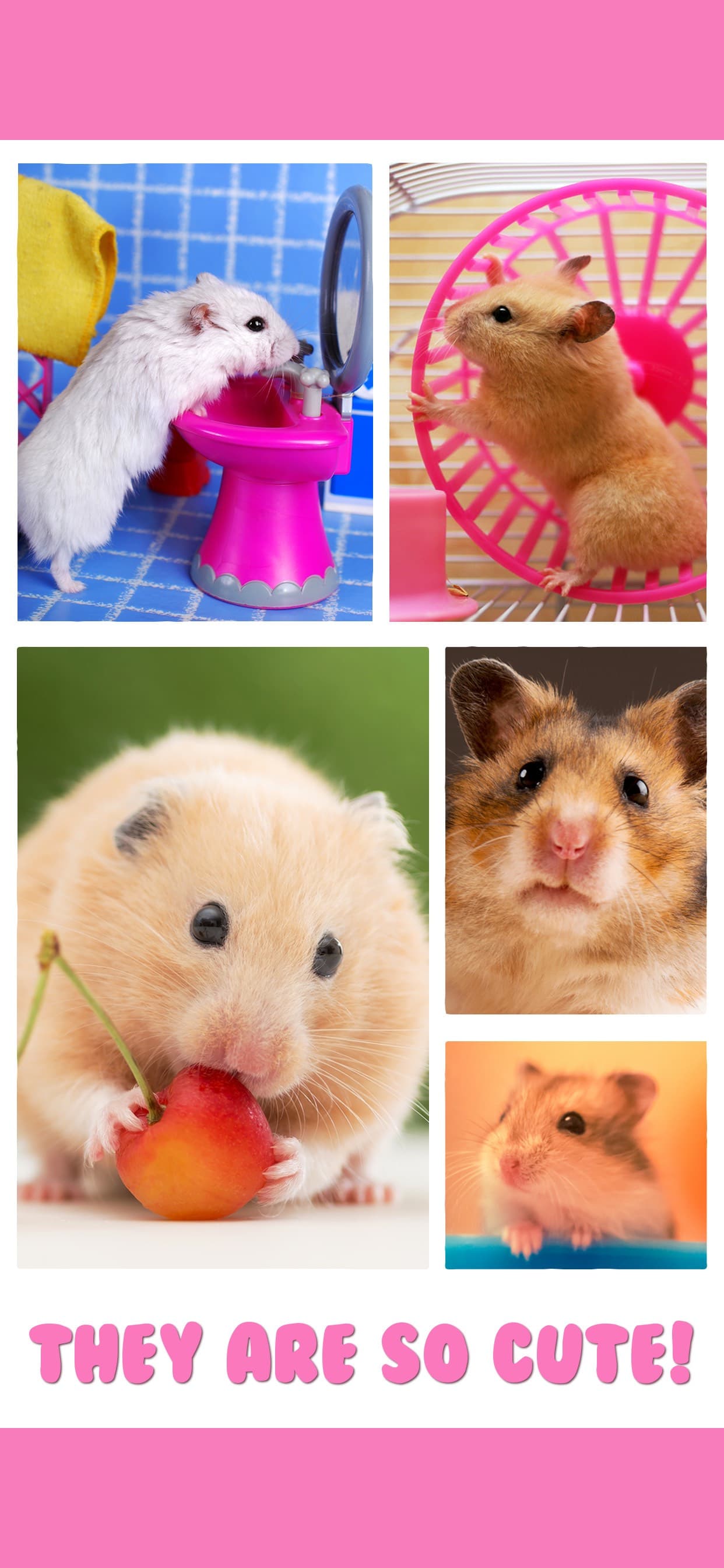 Hamster Jigsaw Puzzle Games screenshot 2 - screenshot