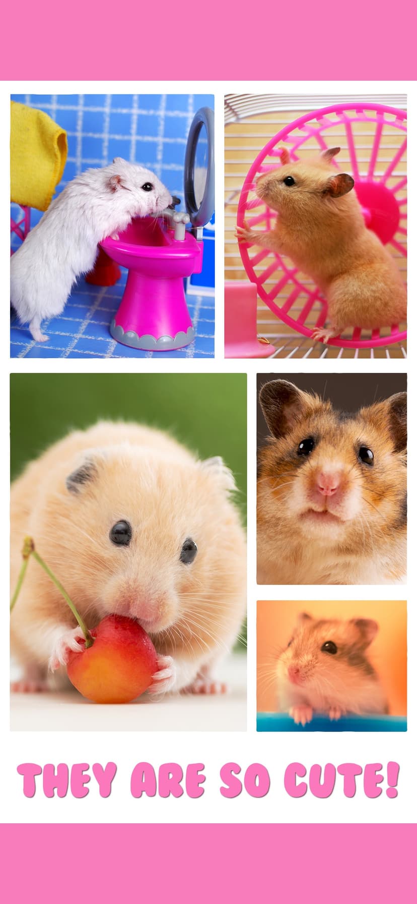 Hamster Jigsaw Puzzle Games screenshot 2 - screenshot