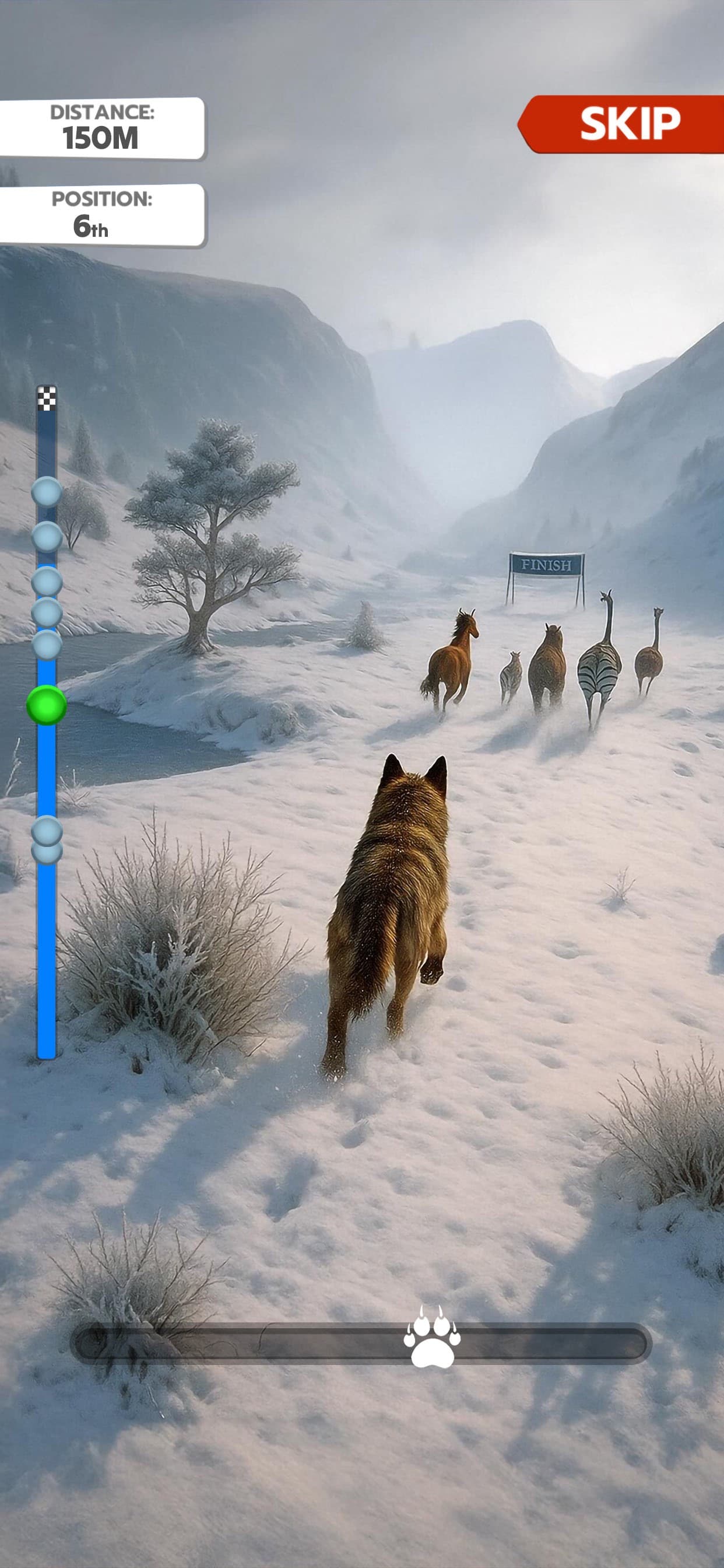 Animal Run: Wild Race screenshot 2 - screenshot
