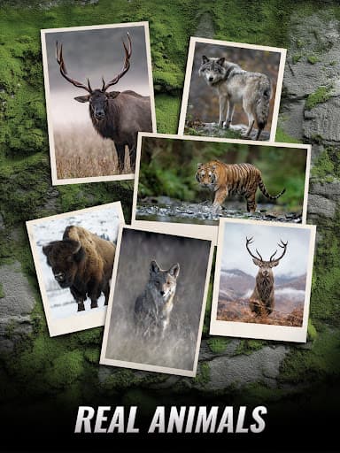 Trophy Hunter - Shooting Game screenshot 17 - screenshot