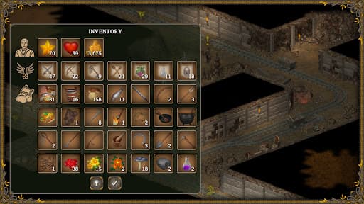 Hero of the Kingdom III screenshot 4 - screenshot