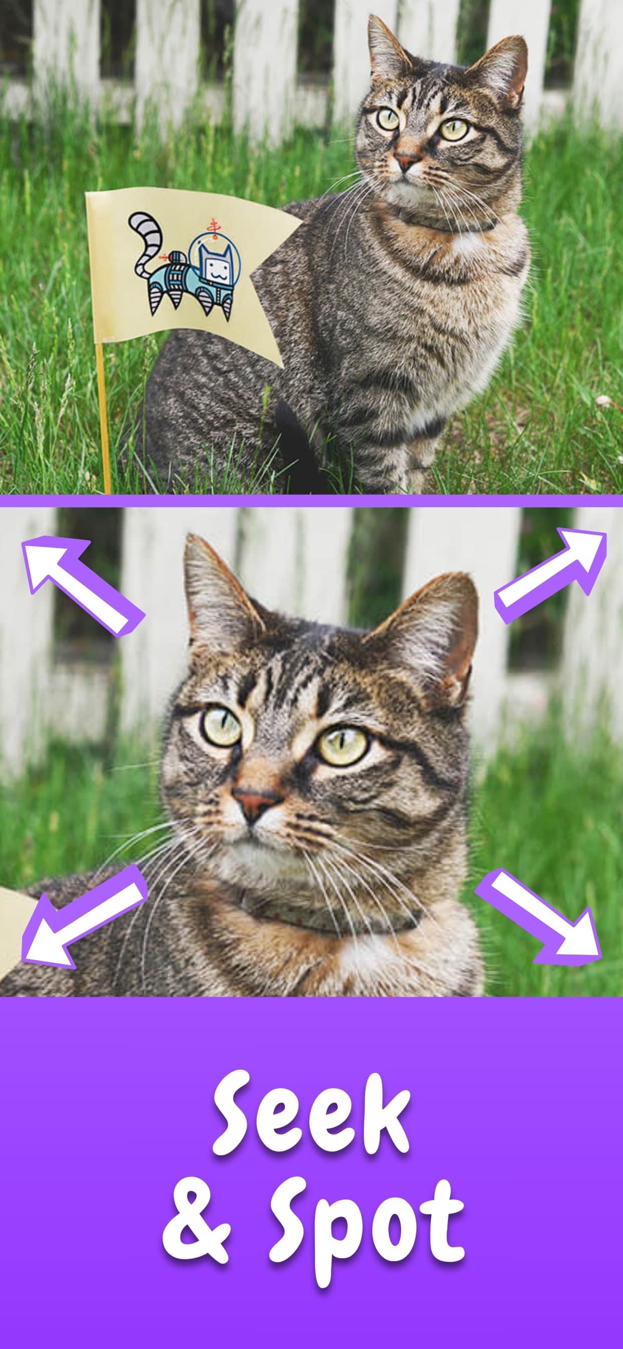 Find the Differences Game ⁺ screenshot 9 - screenshot