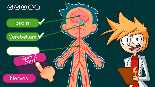 Human Body Games for Kids screenshot 13 - screenshot