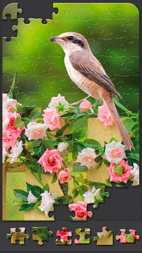 Jigsaw Puzzles for Adults screenshot 3 - screenshot