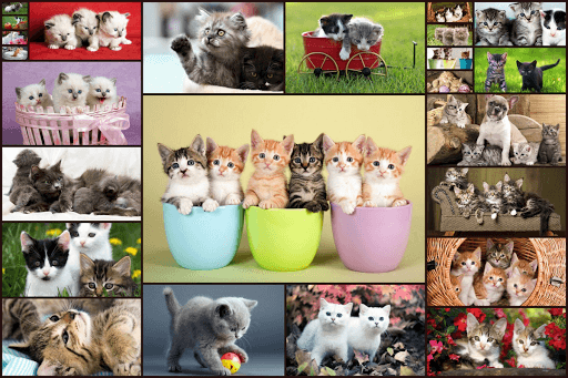 Cats Jigsaw Puzzle Game Kids screenshot 11 - screenshot
