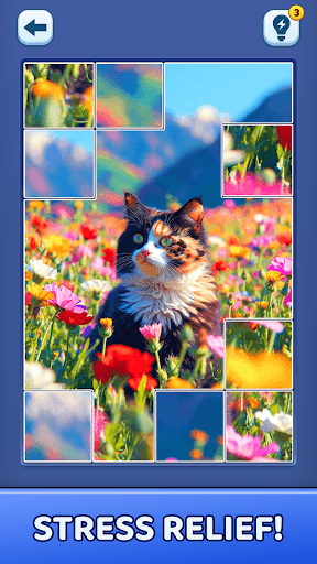 Video Jigsaw Puzzle screenshot 4 - screenshot