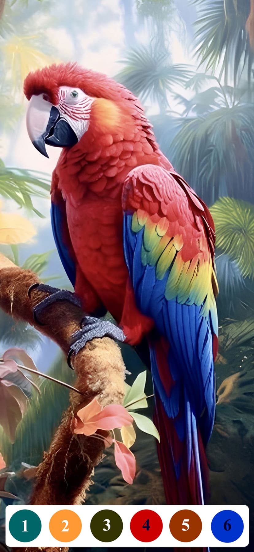 Senior Color - Paint By Number screenshot 8 - screenshot