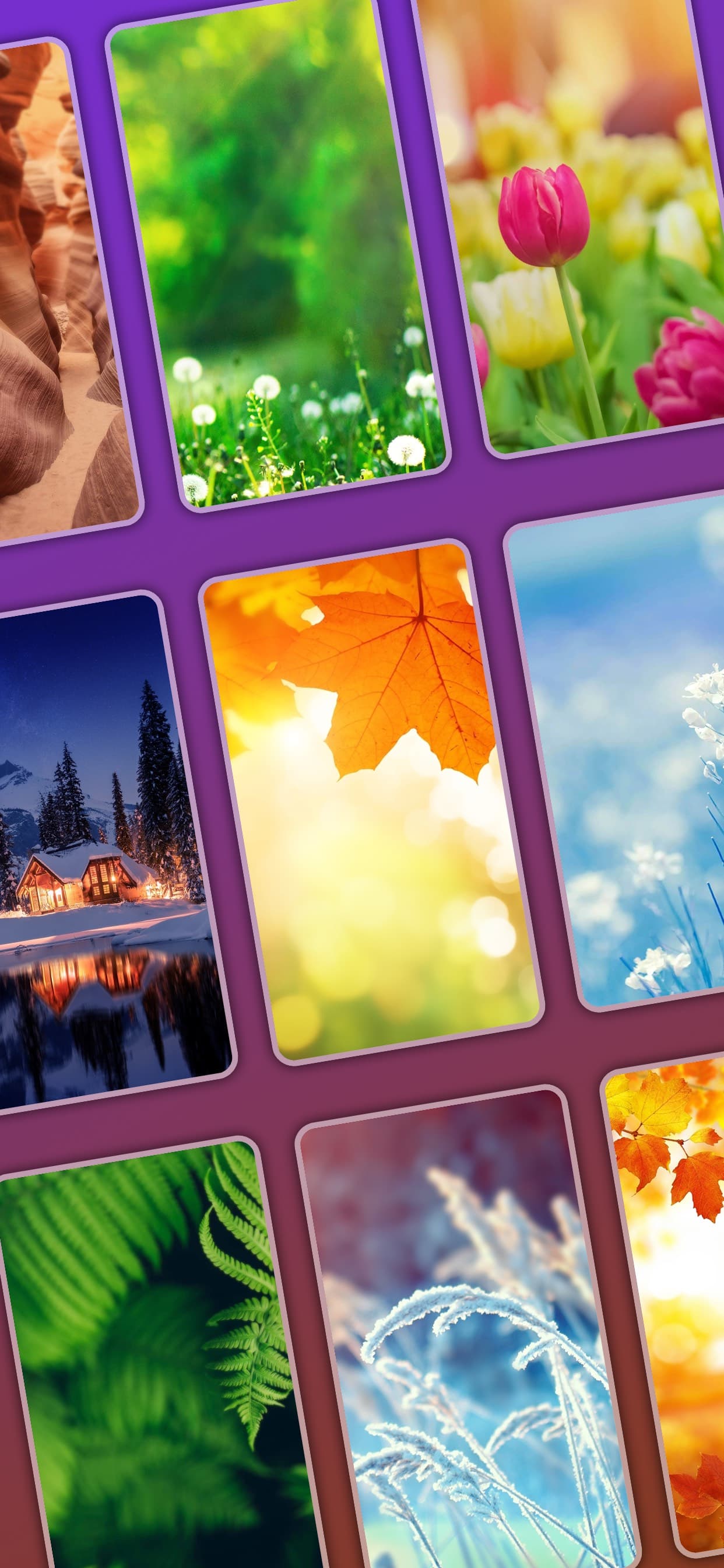 Word Crossy - Brain Word Game screenshot 5 - screenshot