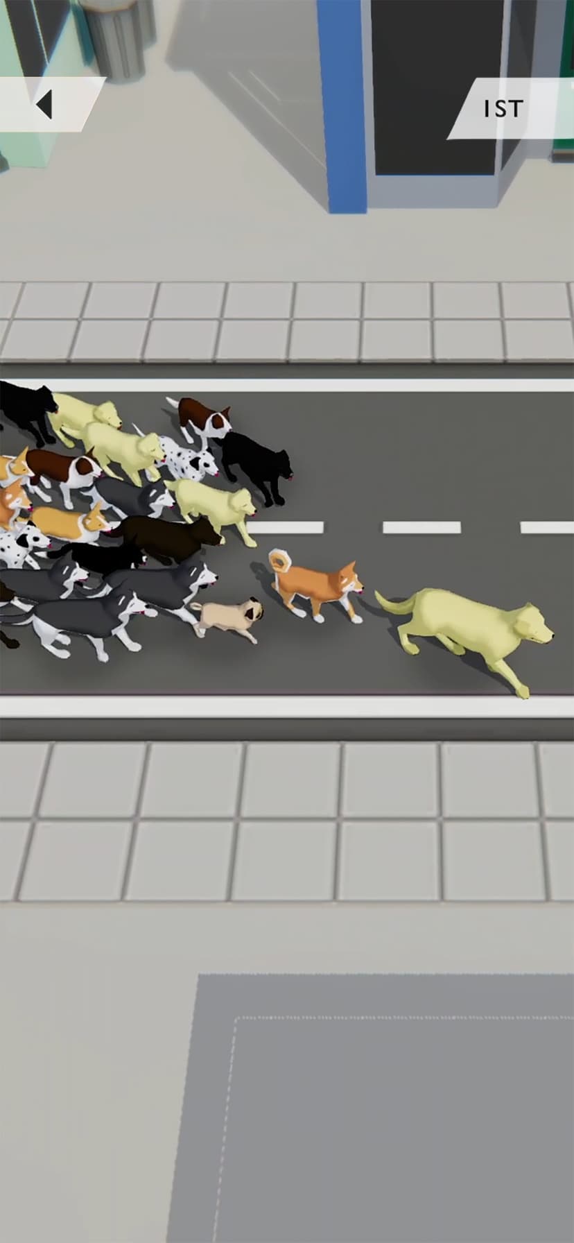 DOGS.IO: Dog Pack Domination screenshot 3 - screenshot