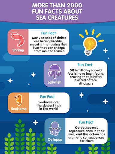 Word Search Sea: Puzzle Game screenshot 14 - screenshot