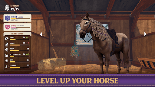 Star Equestrian - Horse Ranch screenshot 29 - screenshot
