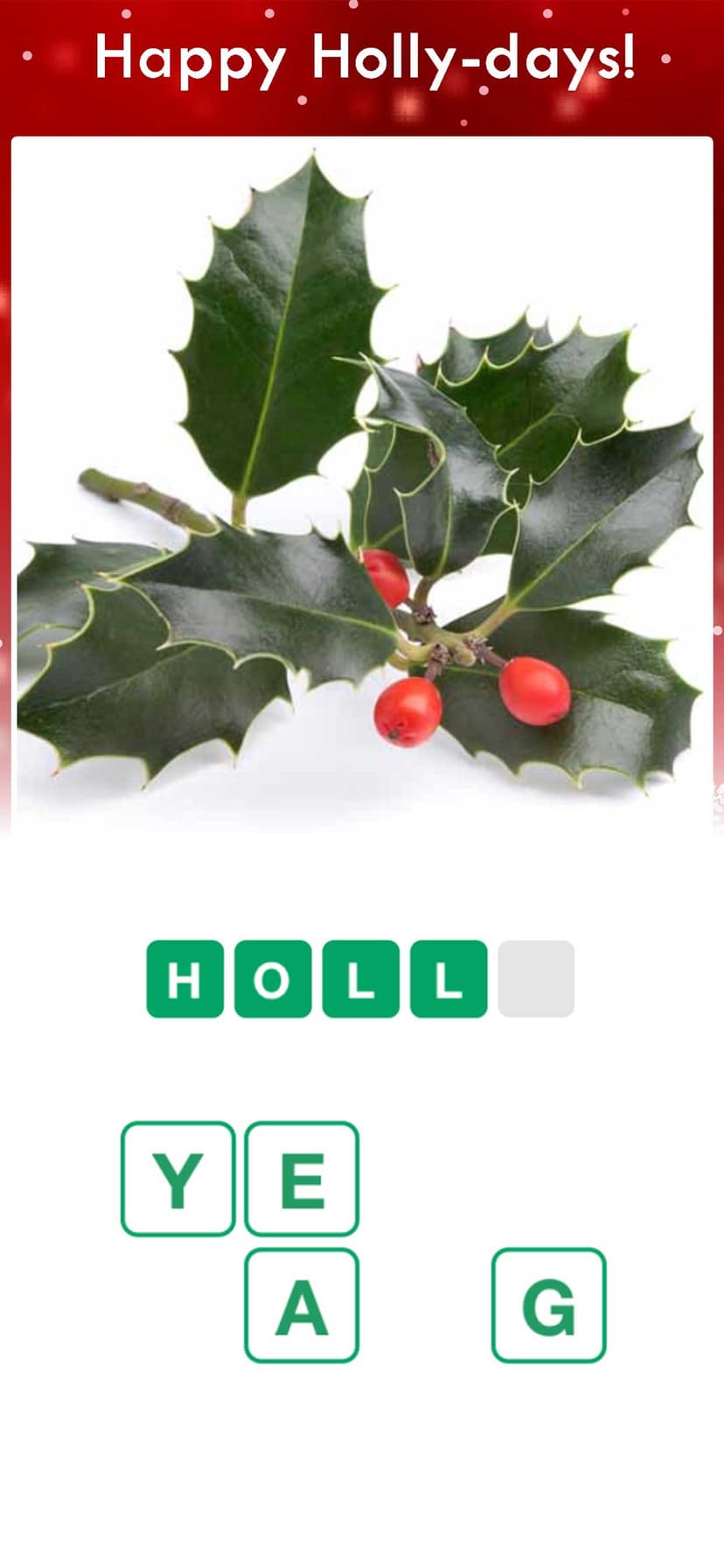 Christmas Pics Quiz Game screenshot 3 - screenshot