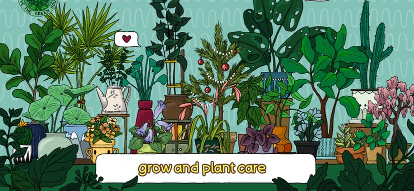 Home Garden Lulu & Terrarium screenshot 9 - screenshot