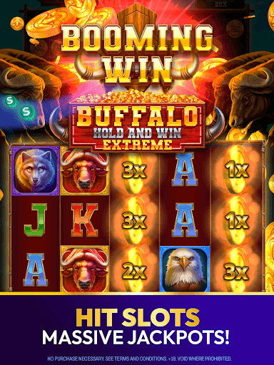 Sweeps Night - Social Casino screenshot 14 - screenshot
