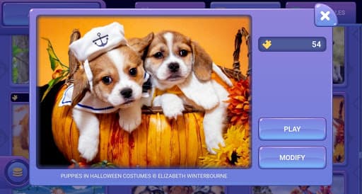 Everyday Jigsaw Puzzles screenshot 4 - screenshot