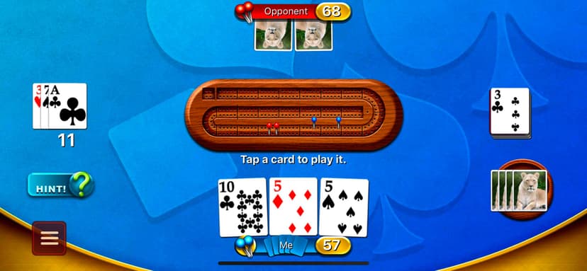 Cribbage - Crib & Peg Game screenshot 4 - screenshot
