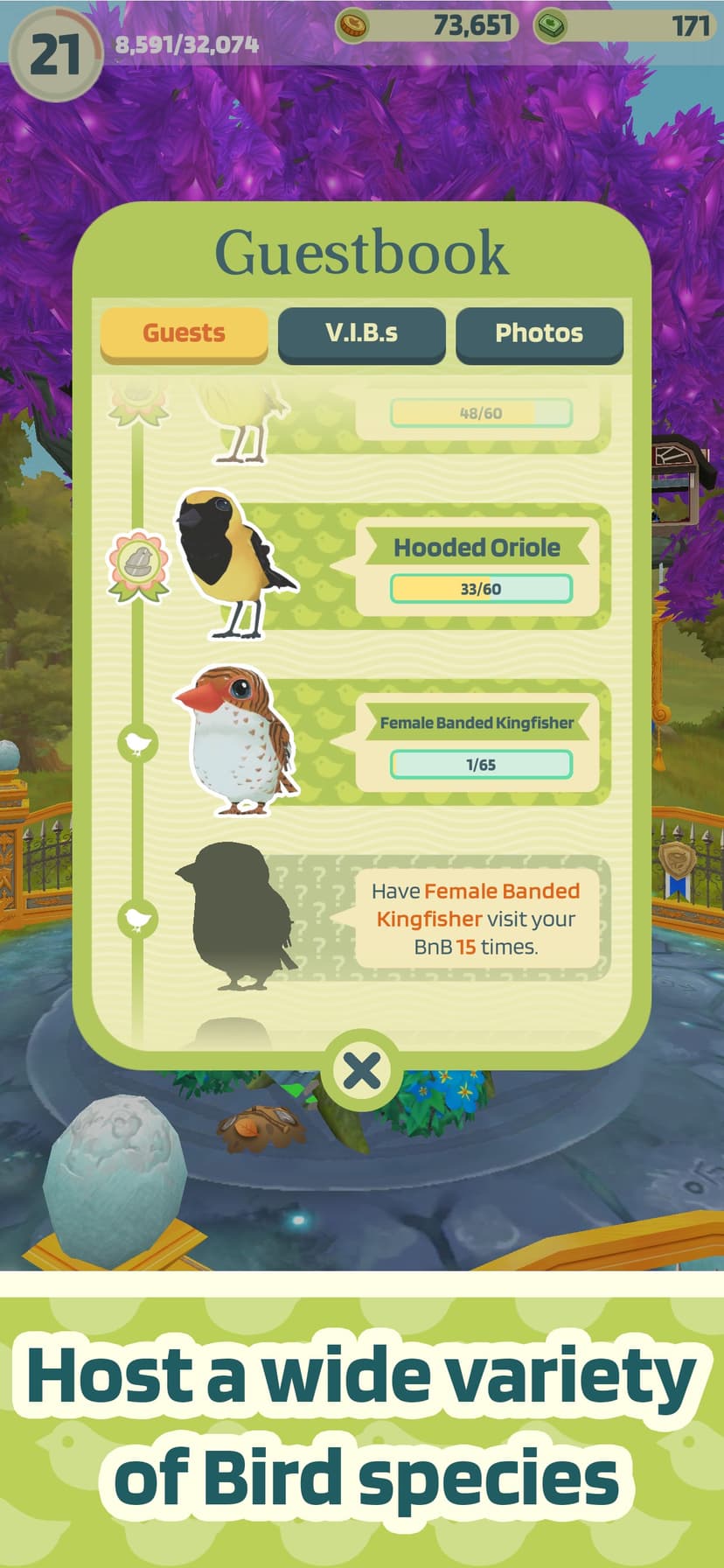 Bird Bed & Breakfast screenshot 2 - screenshot