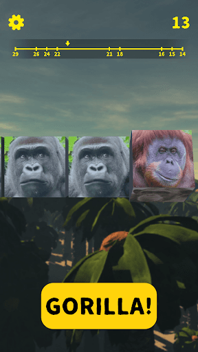 Gorilla Slot Infinity screenshot 3 - screenshot