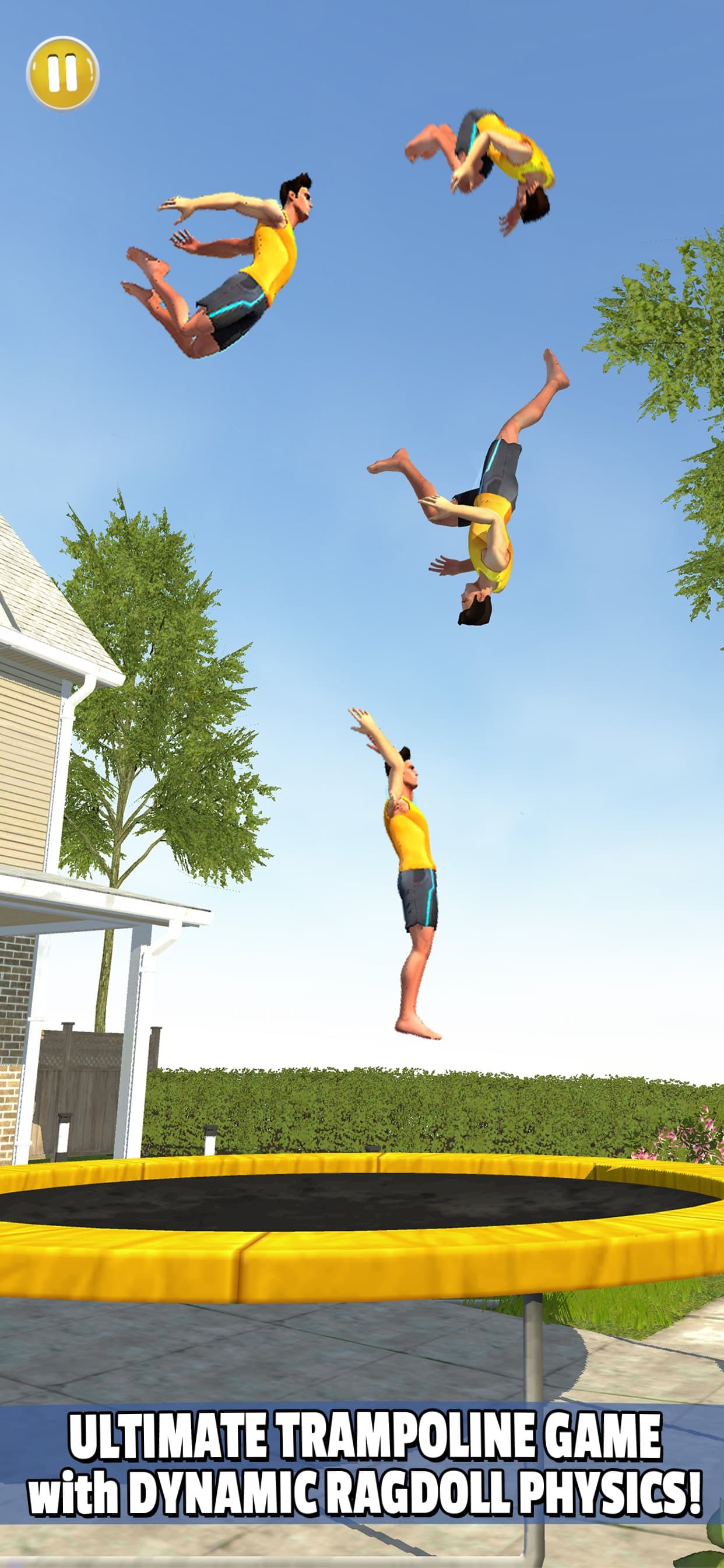 Flip Master screenshot 1 - screenshot