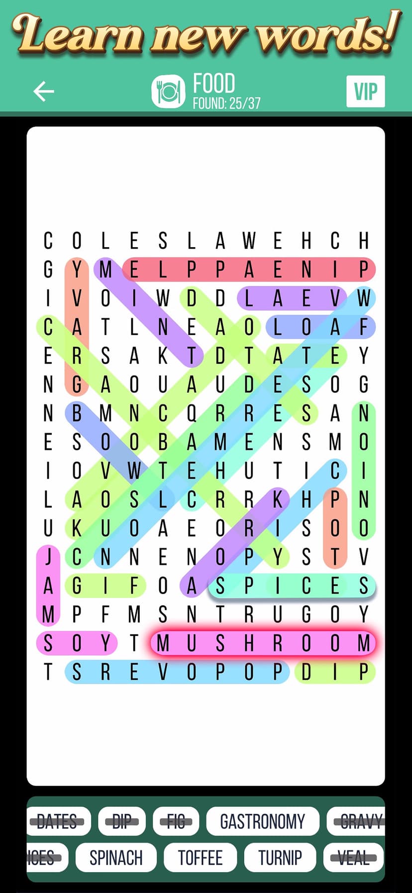 English Word Search 2026 screenshot 1 - screenshot
