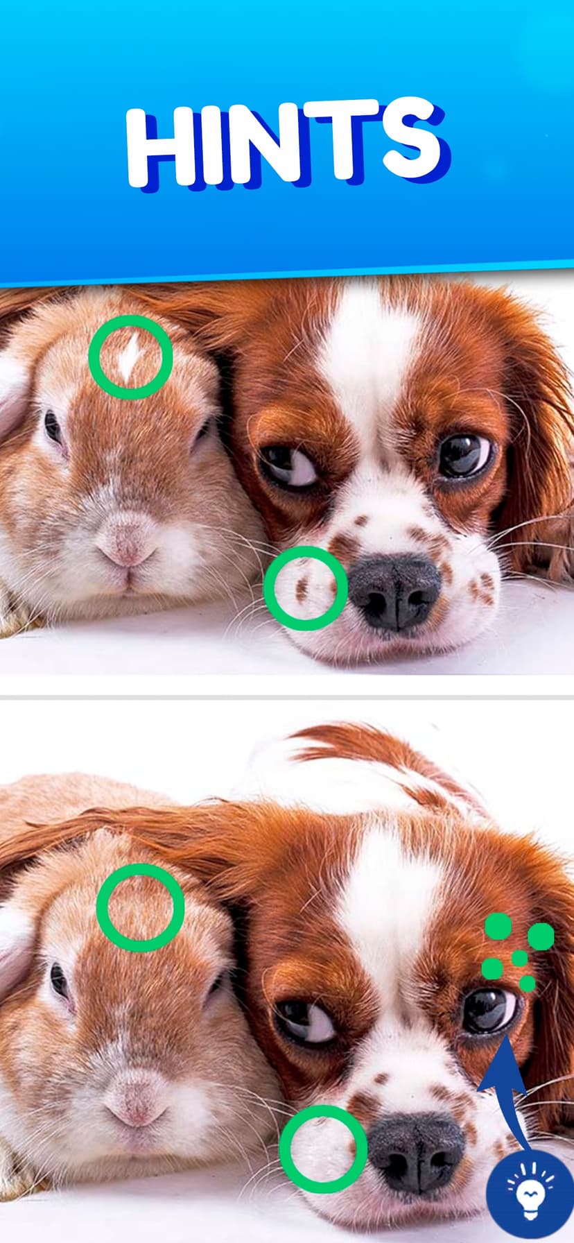 Find the differences 2025 screenshot 5 - screenshot