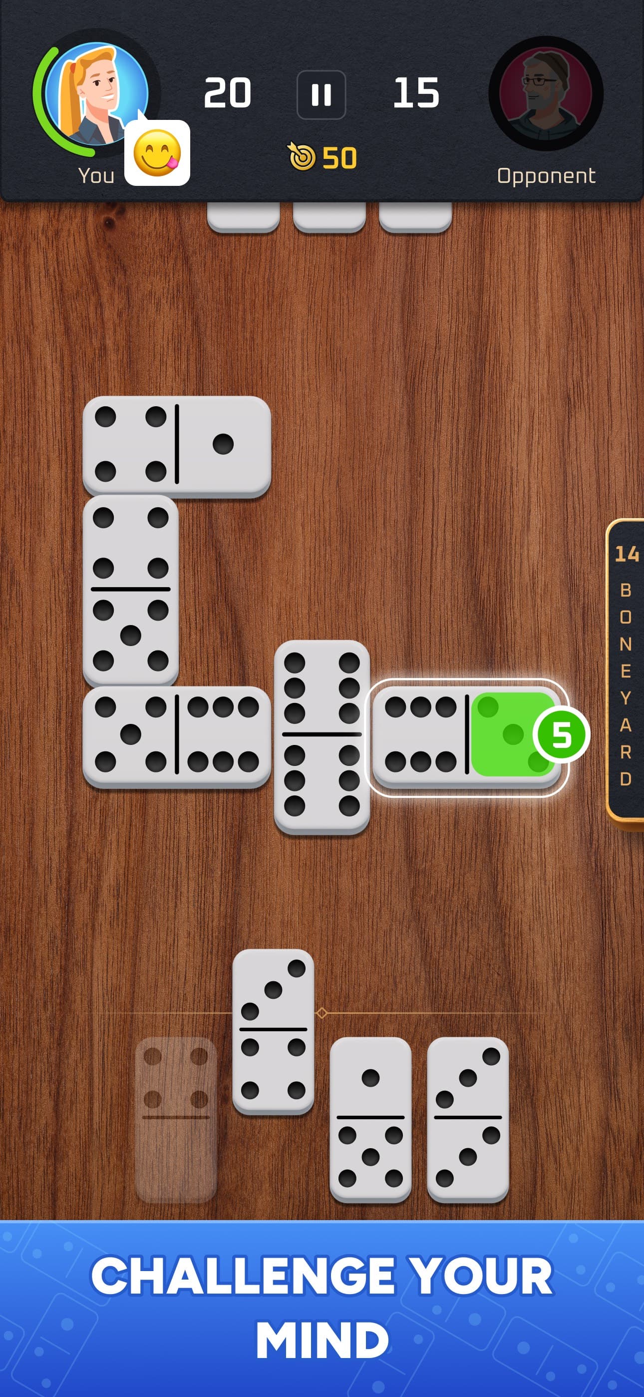 Dominoes Tour: Classic Game screenshot 1 - screenshot