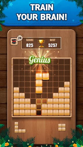 Wooden 100 Block Puzzle Game screenshot 1 - screenshot