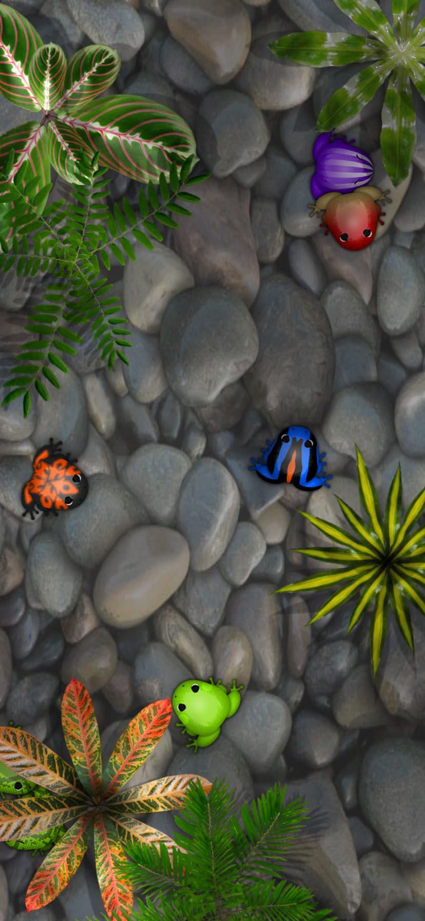 Pocket Frogs: Tiny Pond Keeper screenshot 1 - screenshot