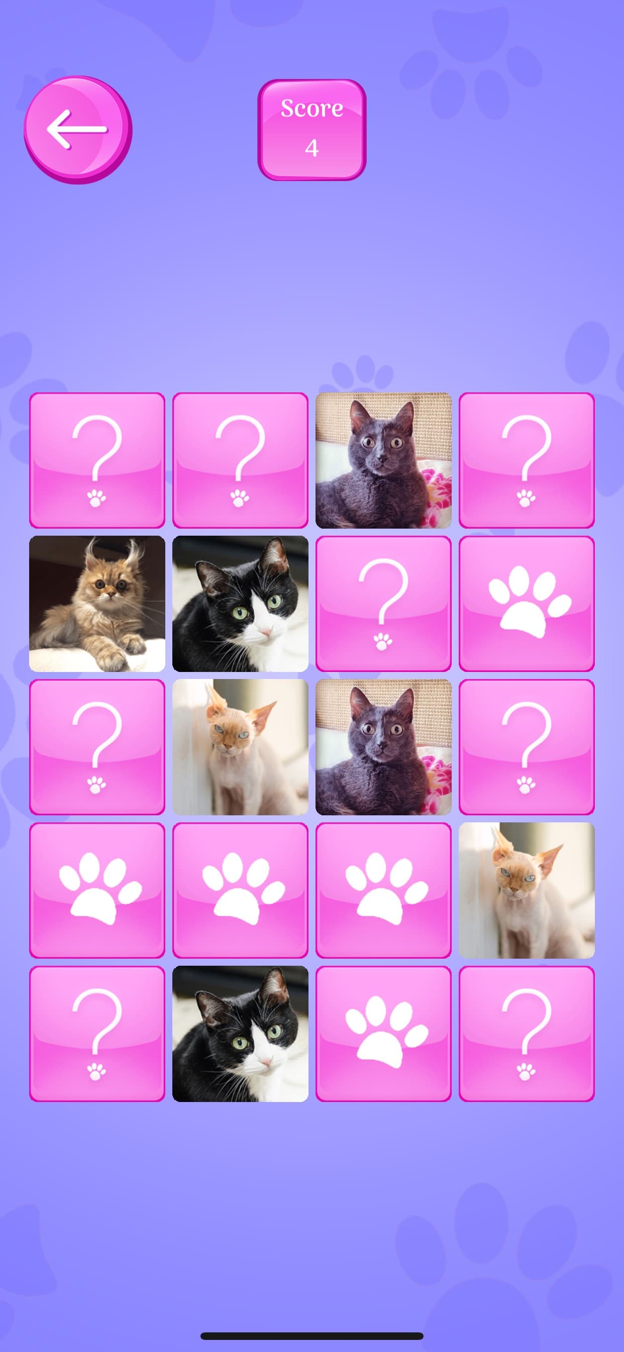 Cute Cats Memory Match Game screenshot 1 - screenshot