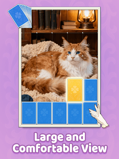 Jigsort®: Solitaire screenshot 19 - screenshot