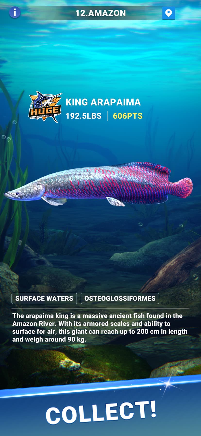 Fishing Travel screenshot 6 - screenshot