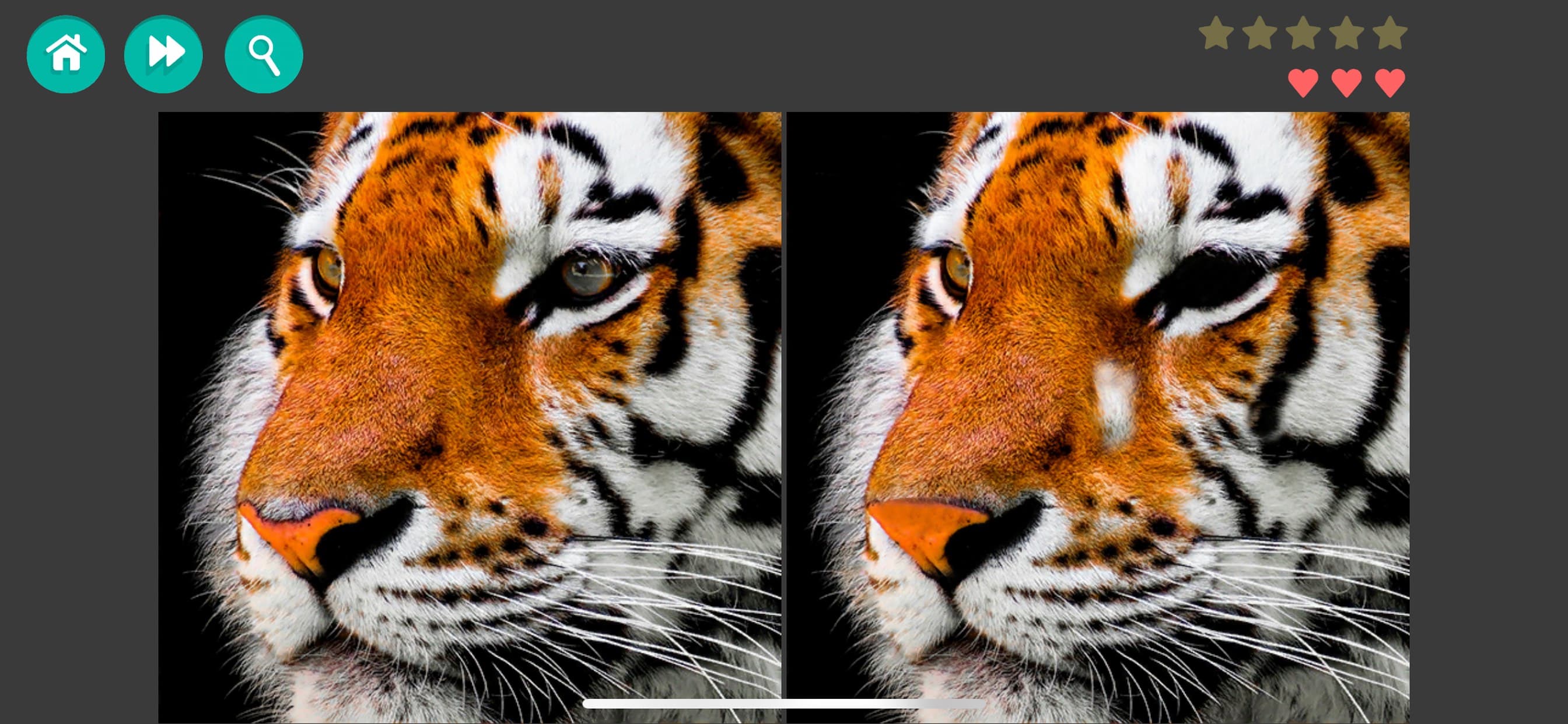 Find the Differences - Hard screenshot 1 - screenshot