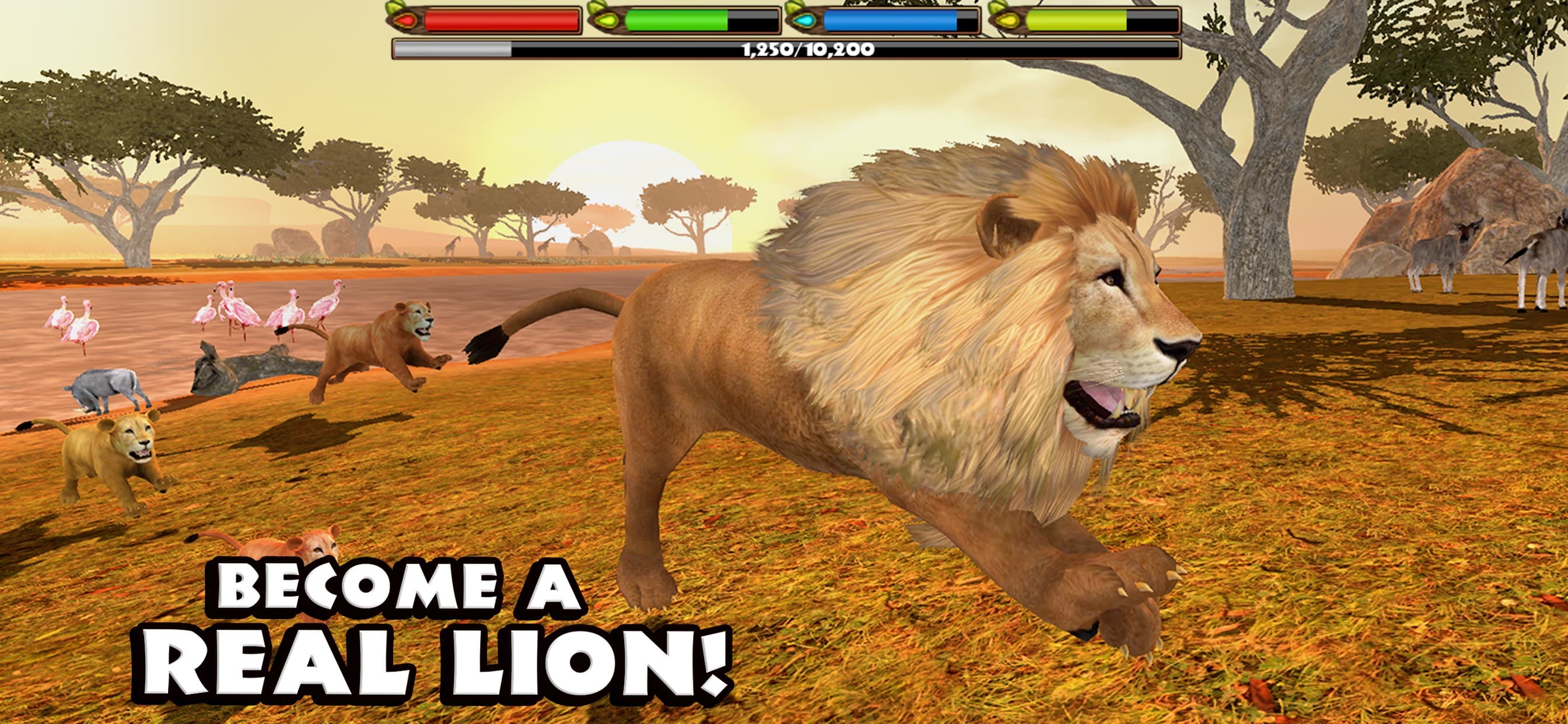Ultimate Lion Simulator screenshot 1 - screenshot