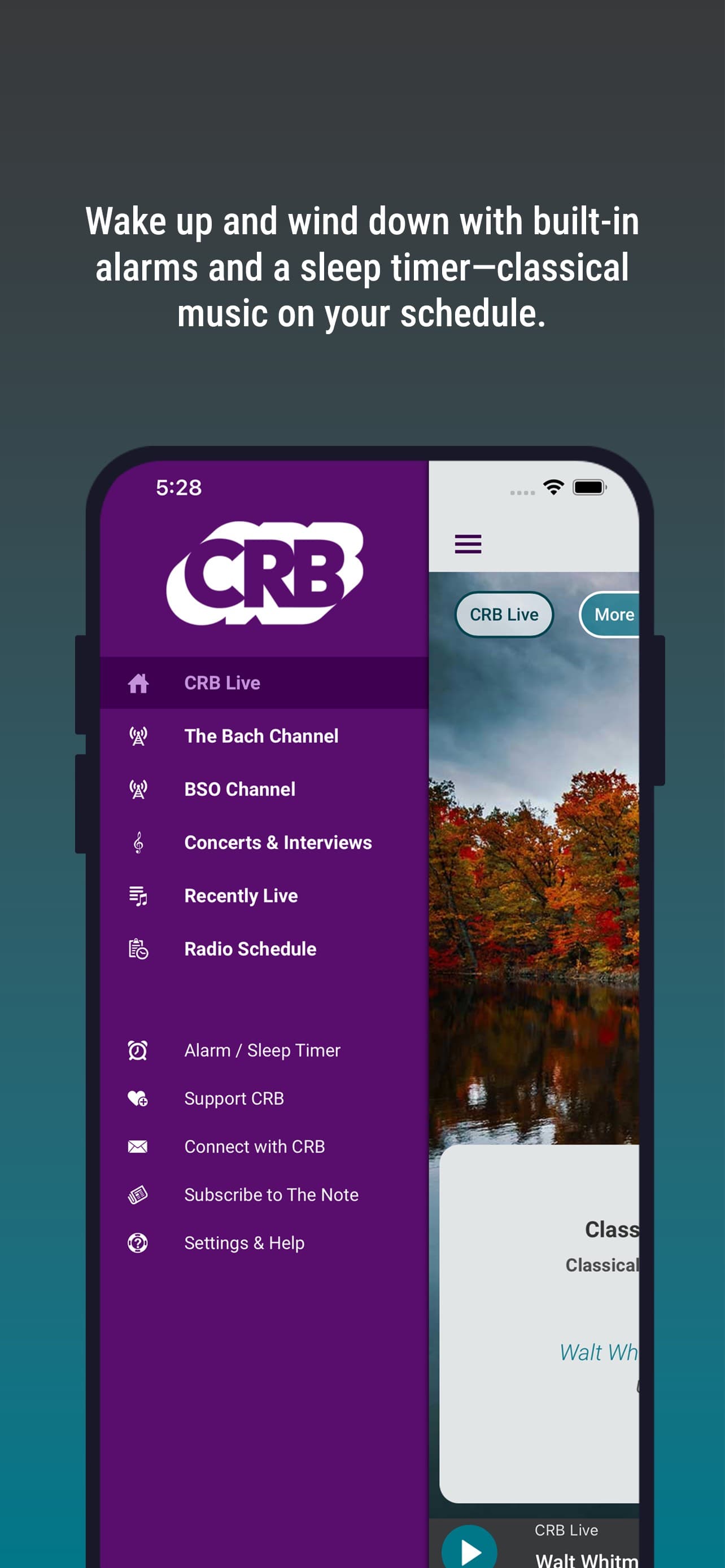 CRB Classical screenshot 6 - screenshot