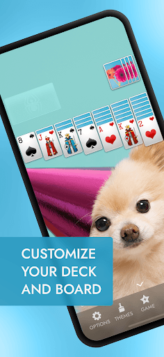 Spider Solitaire screenshot 3 - screenshot