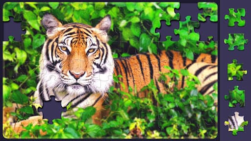 Relax Jigsaw Puzzle for Adults screenshot 9 - screenshot