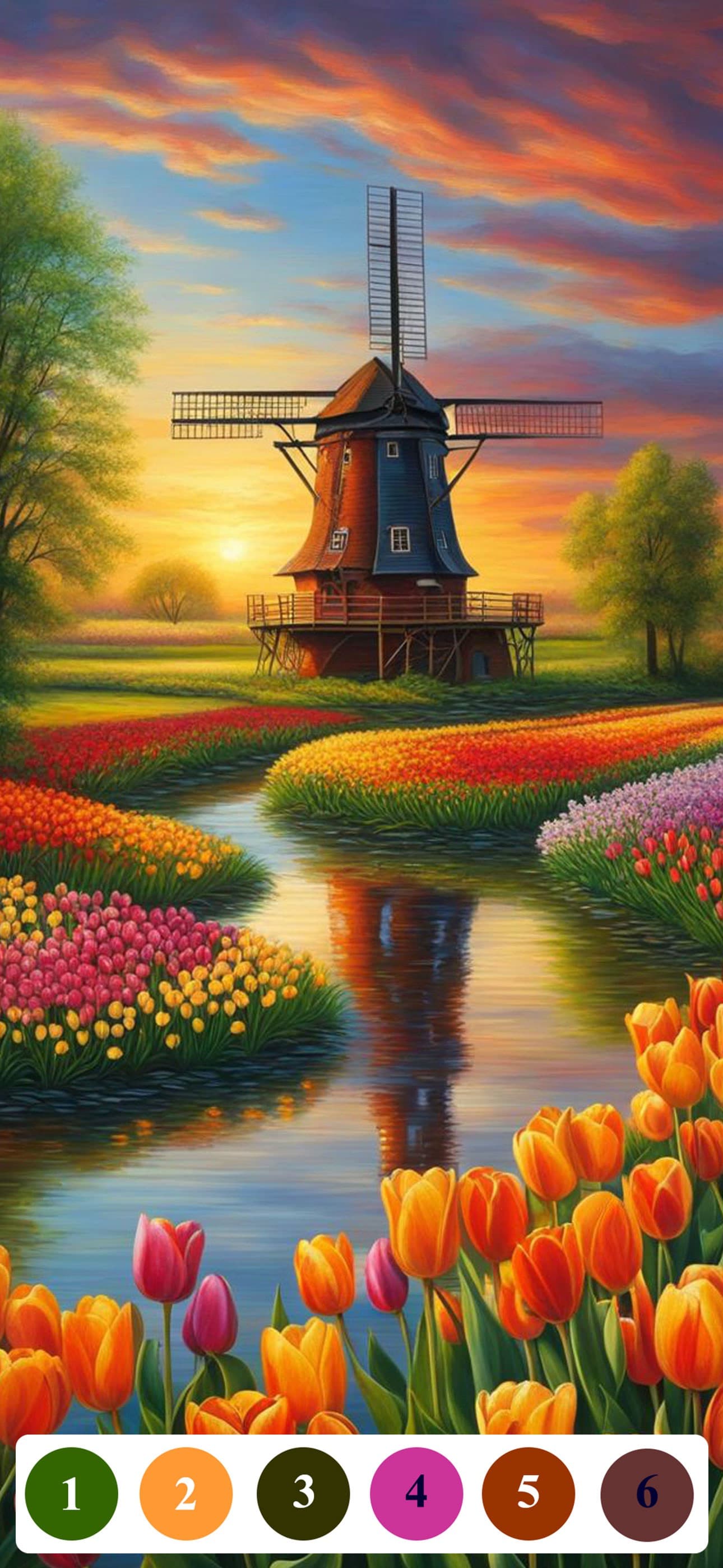 Senior Color - Paint By Number screenshot 9 - screenshot