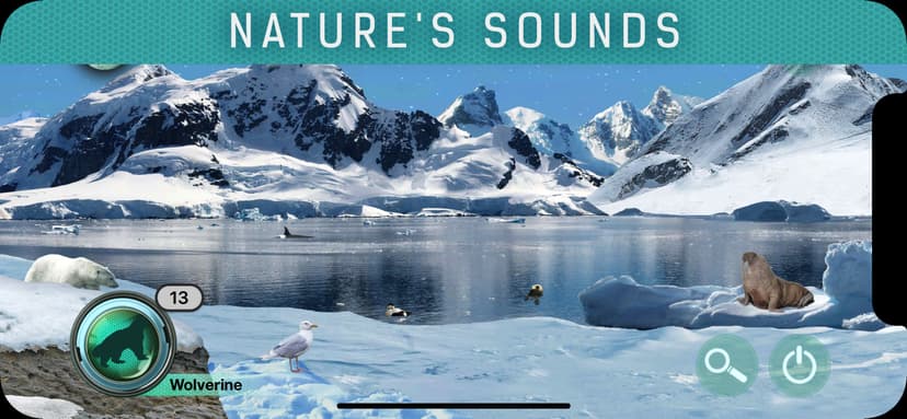 Hidden Animals: Seek and Find screenshot 6 - screenshot