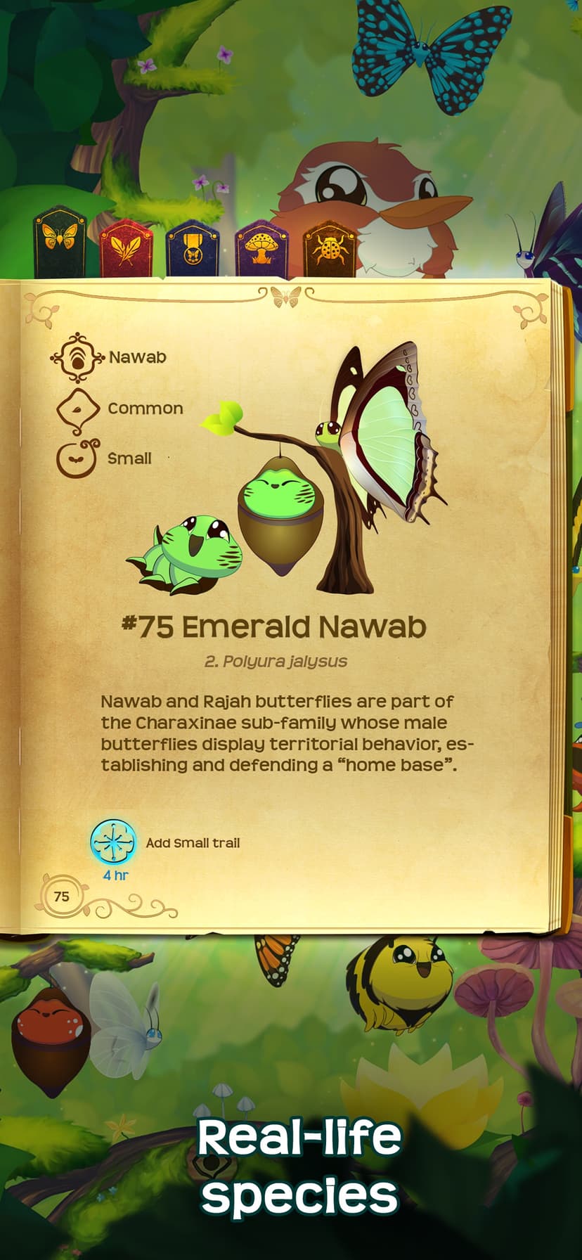 Flutter: Butterfly Sanctuary screenshot 4 - screenshot