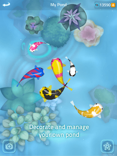 Zen Koi 2 screenshot 20 - screenshot