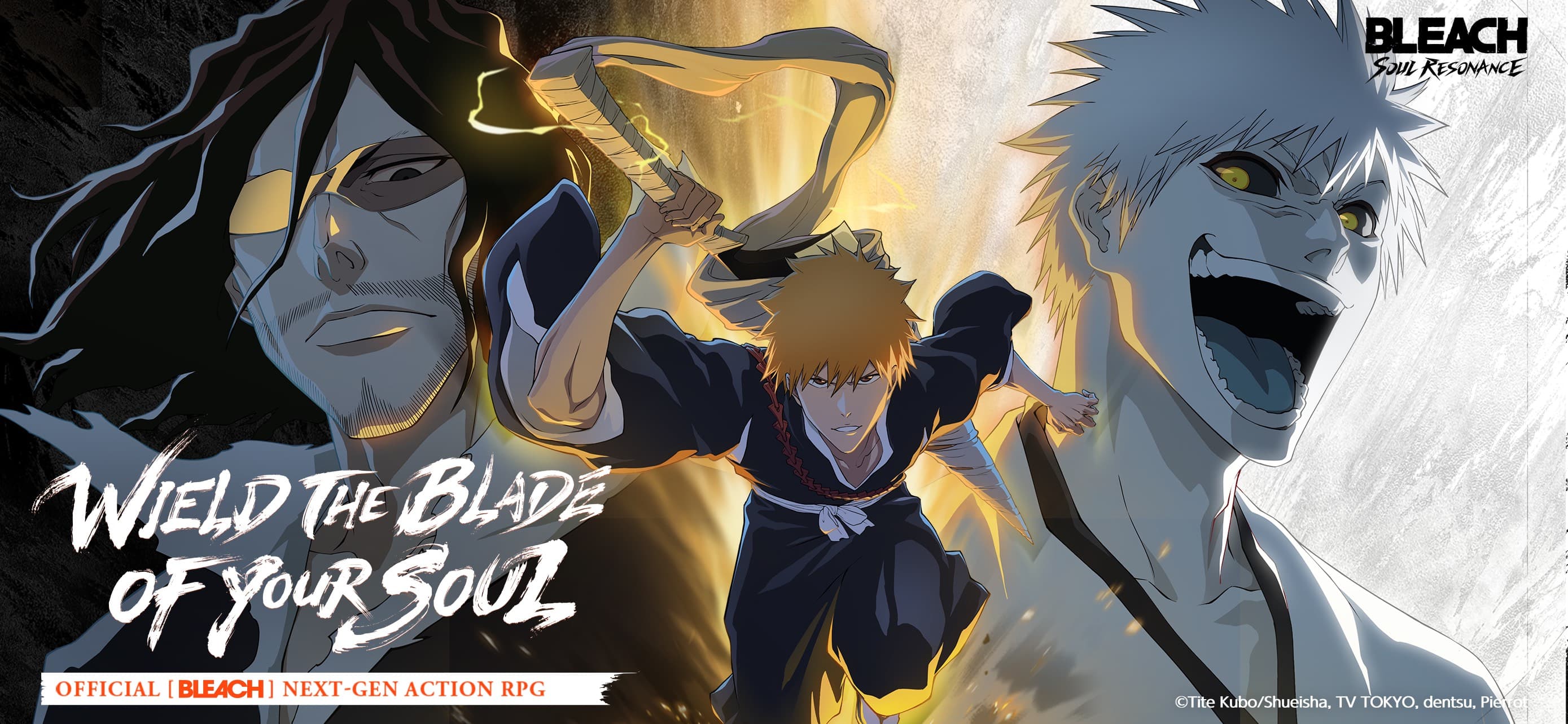 BLEACH Soul Resonance screenshot 1 - screenshot