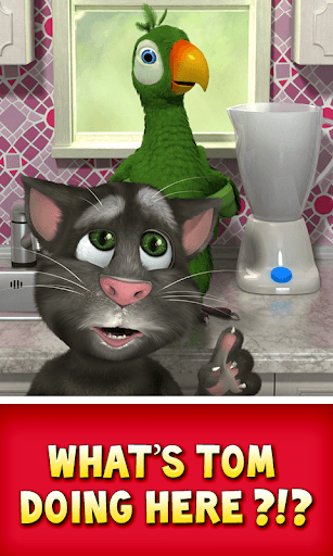 Talking Pierre the Parrot screenshot 3 - screenshot
