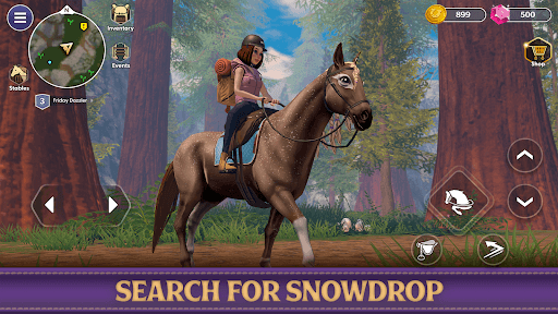 Star Equestrian - Horse Ranch screenshot 27 - screenshot