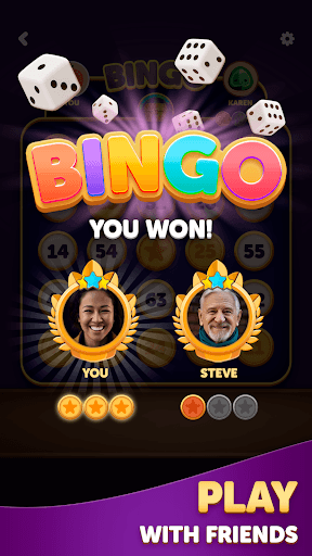 Bingo Dice screenshot 8 - screenshot