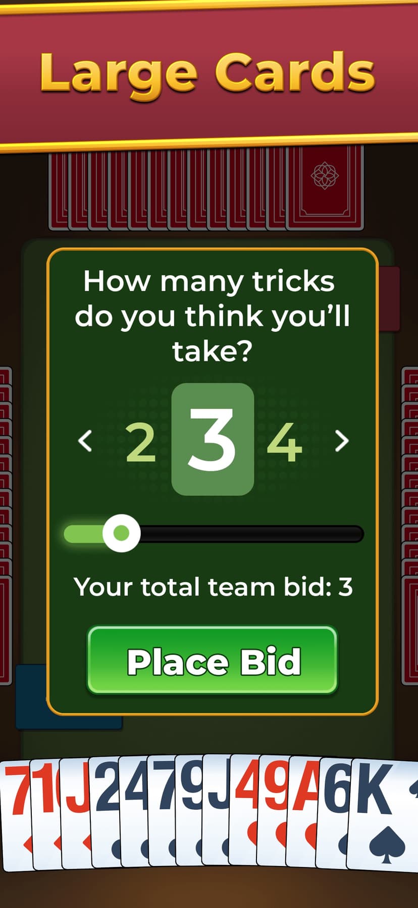 Spades For Seniors: Card Game screenshot 2 - screenshot