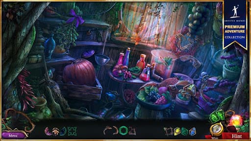 The Secret Order 7 screenshot 14 - screenshot